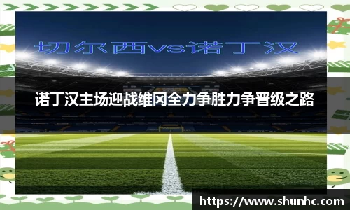 yy体育