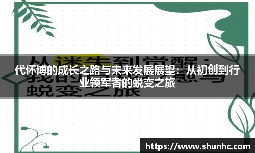 代怀博的成长之路与未来发展展望：从初创到行业领军者的蜕变之旅