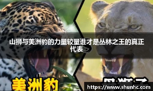 yy易游体育
